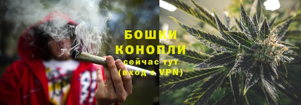 дурь Губаха