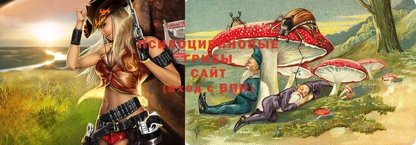бошки Сатка