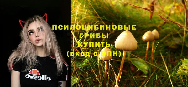 стаф Саяногорск