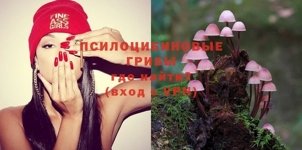 бошки Сатка